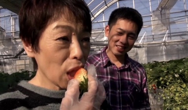 イチゴ農園を営むピンク乳首のショートカット還暦熟女が若い男と濃厚SEX！関根和子